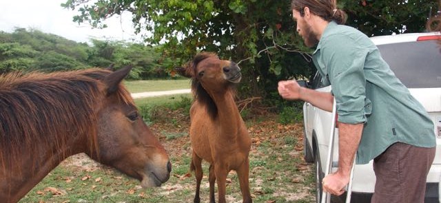 meeting the island horses, Sun Bay